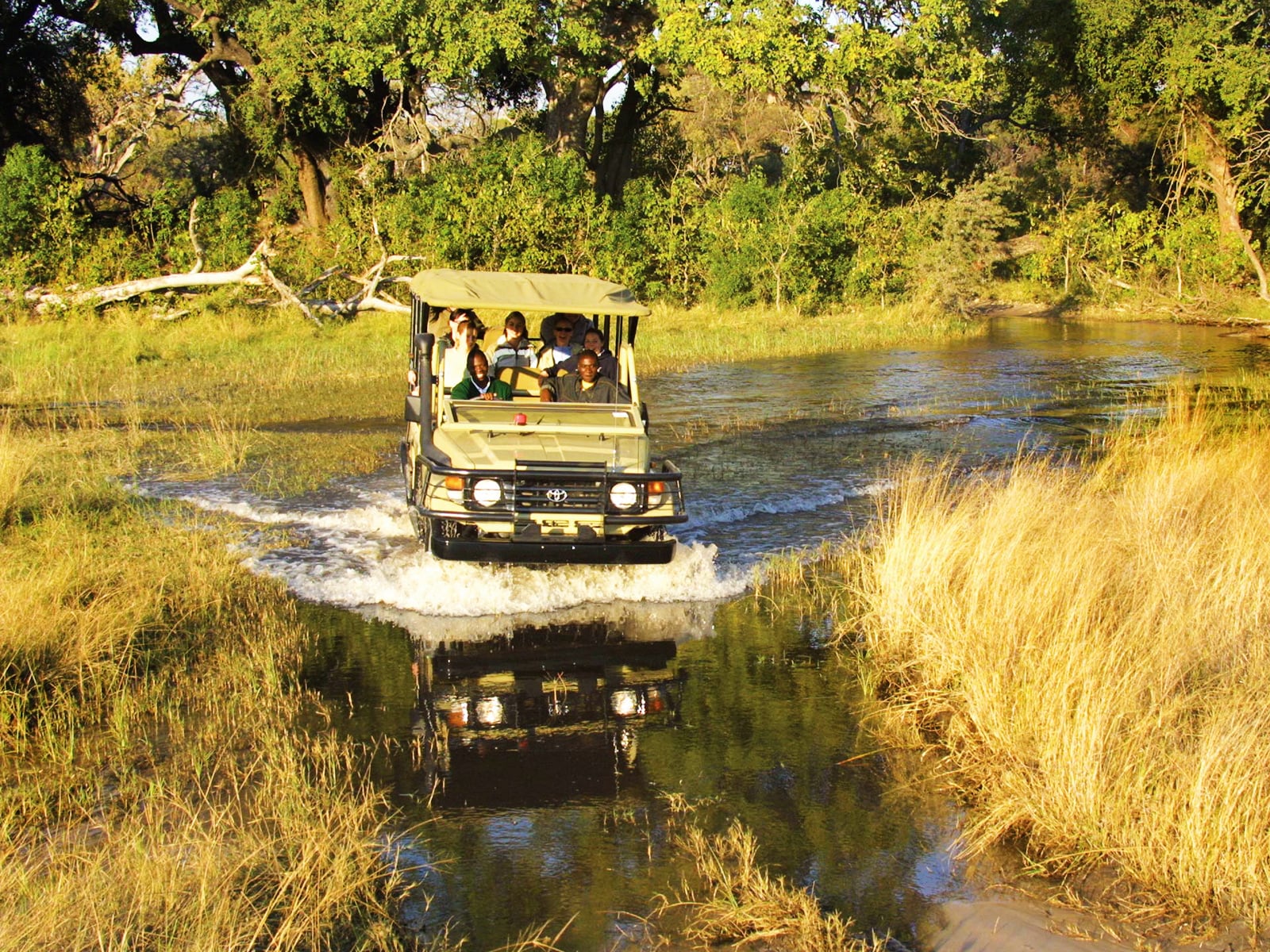 Botswana Safari Escape - 10 Days